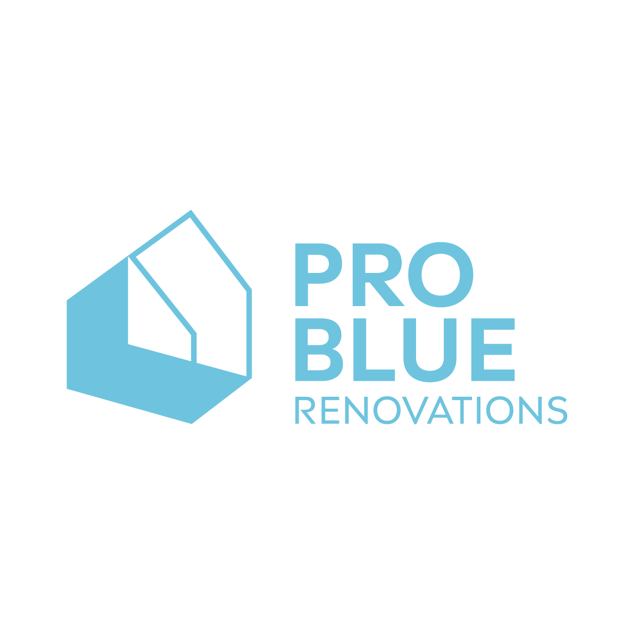 Pro Blue Renovations